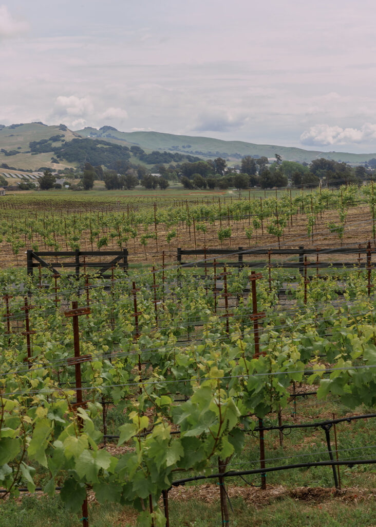 Wedding venue details at Stanly Ranch in Napa Valley.